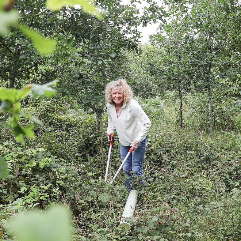 Female volunteer clearing bracken in the Forest 
