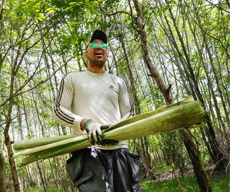 Volunteer, Leon removing tree guards in a woodland