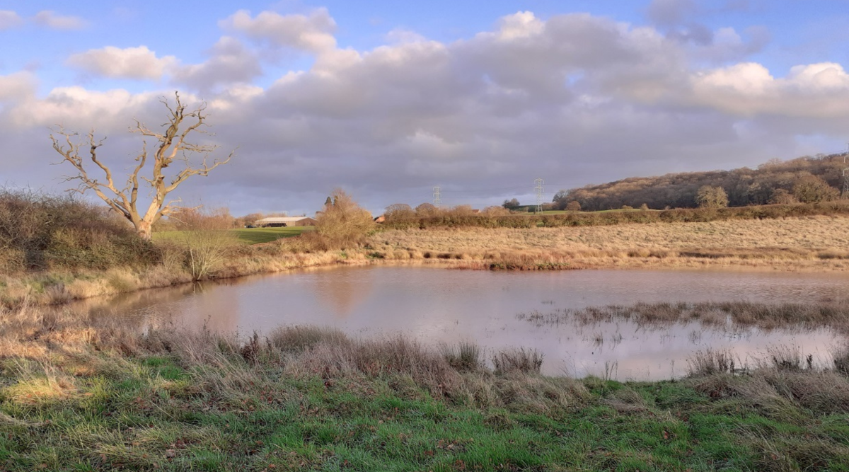 A pond at Netherstead