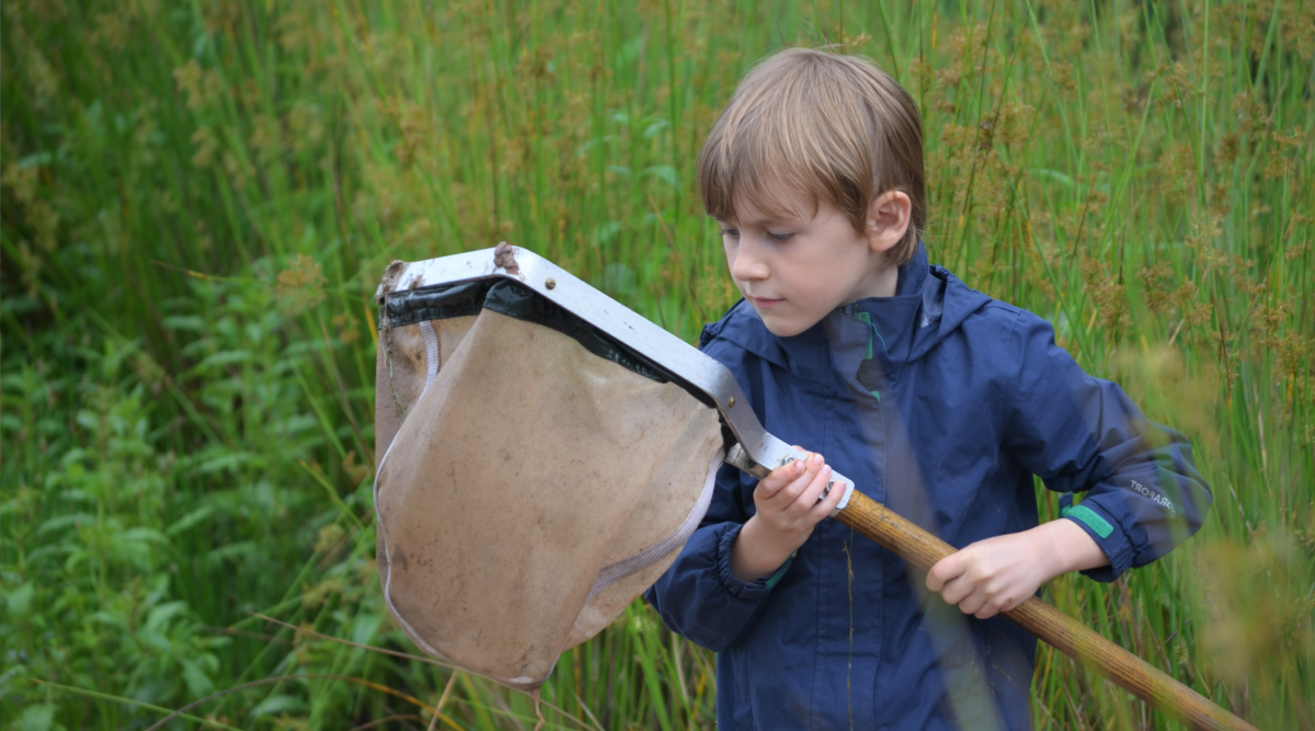 A child checking a net whilst on a biodiversity survey