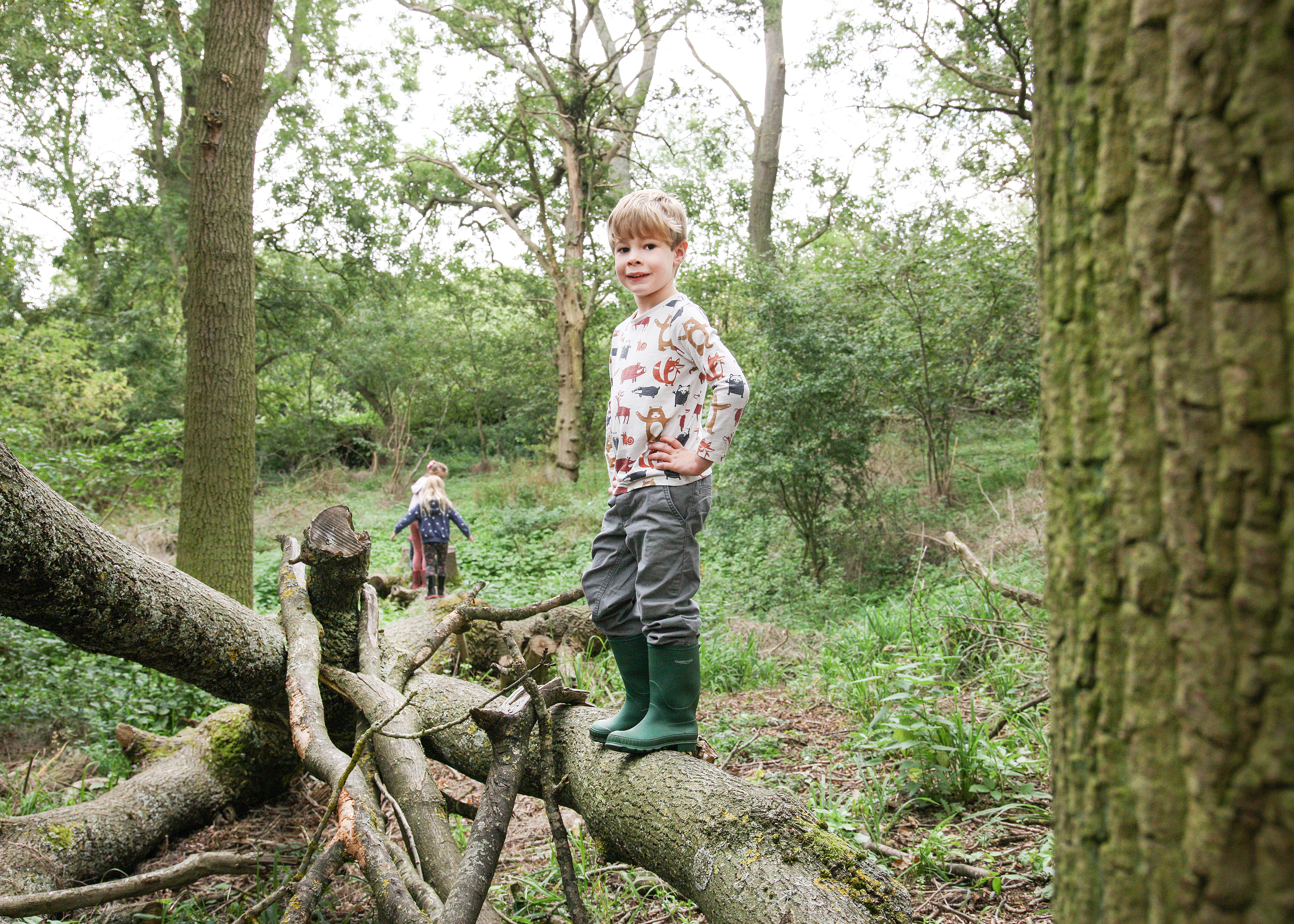Young boy standing on a tree in the forest