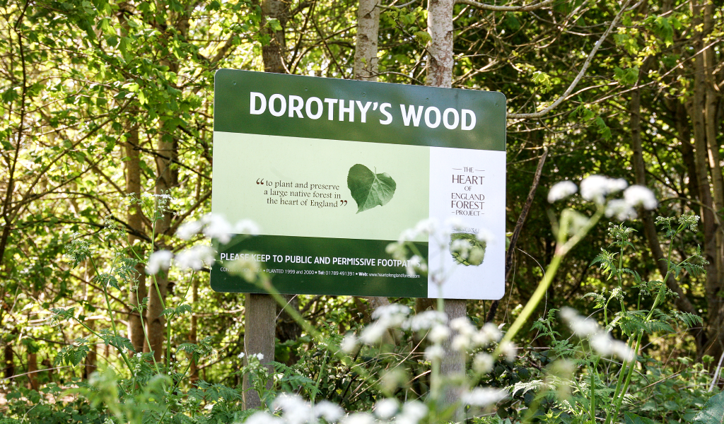 Dorothy's Wood sign with trees behind and wildflowers in the foreground 