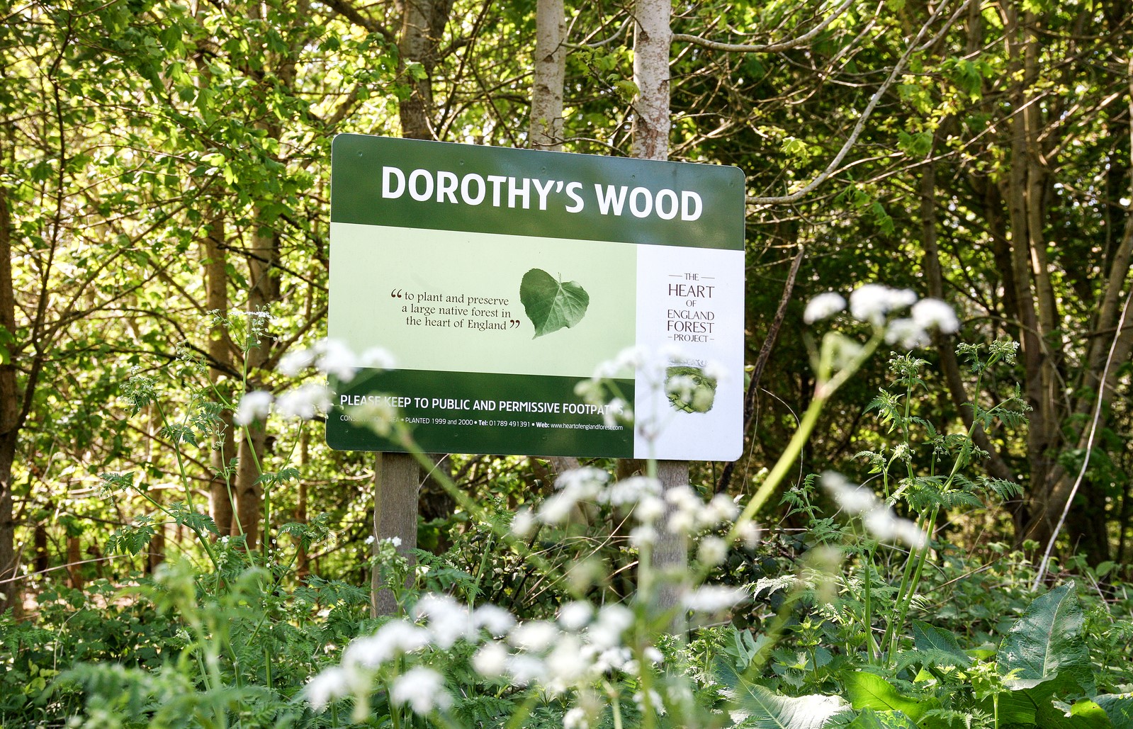 Dorothy's Wood sign with trees behind and wildflowers in the foreground