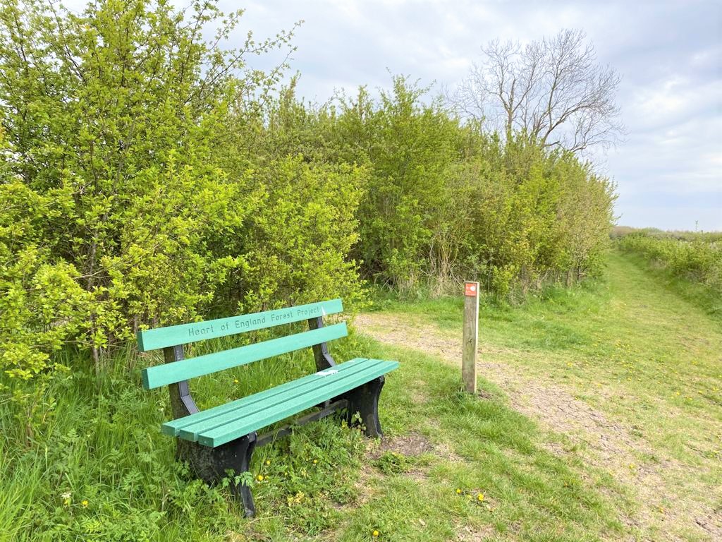 Heart of England Forest bench and waymarker directing left through a gap in the hedge