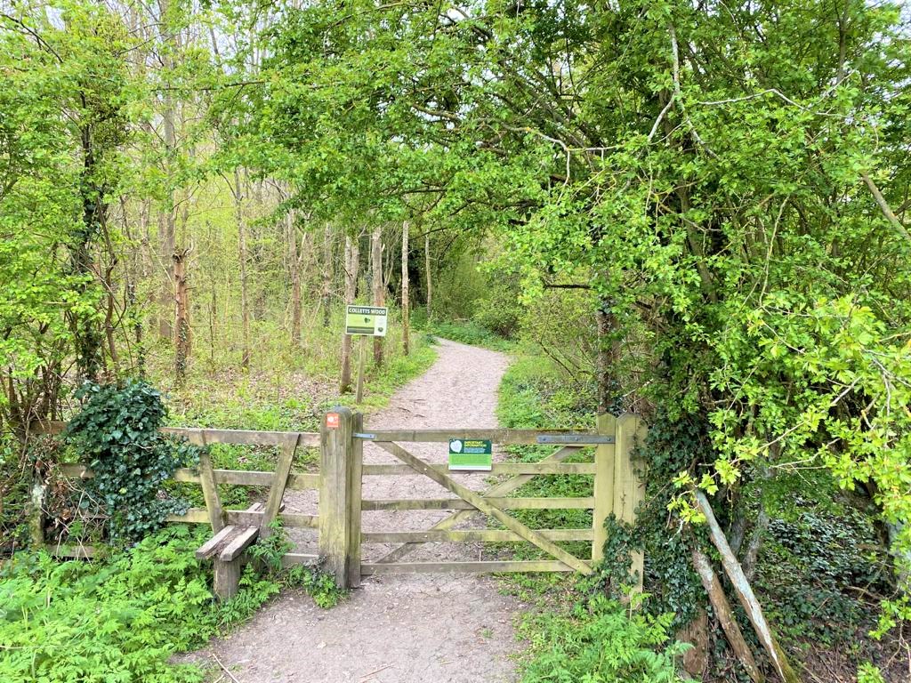 Wooden gate and sign into Colletts Wood