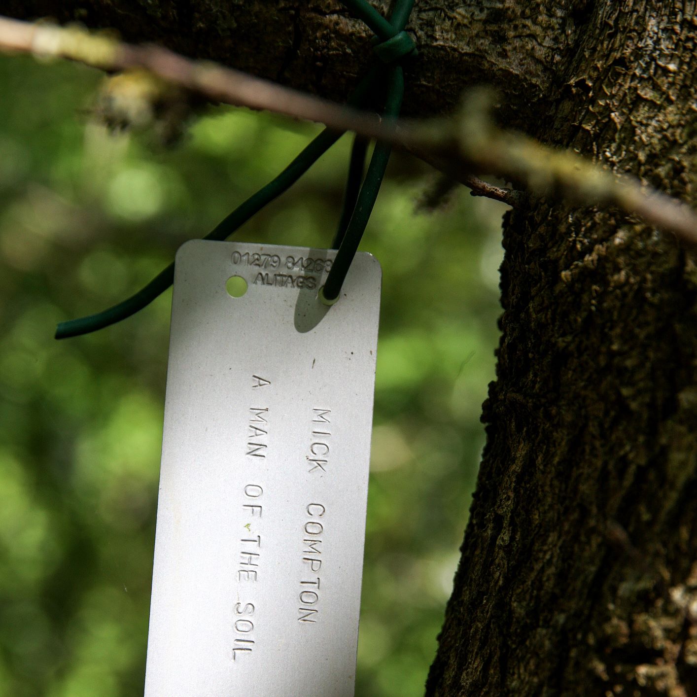 Close up of message on metal tree tag hung on a tree in the Forest 