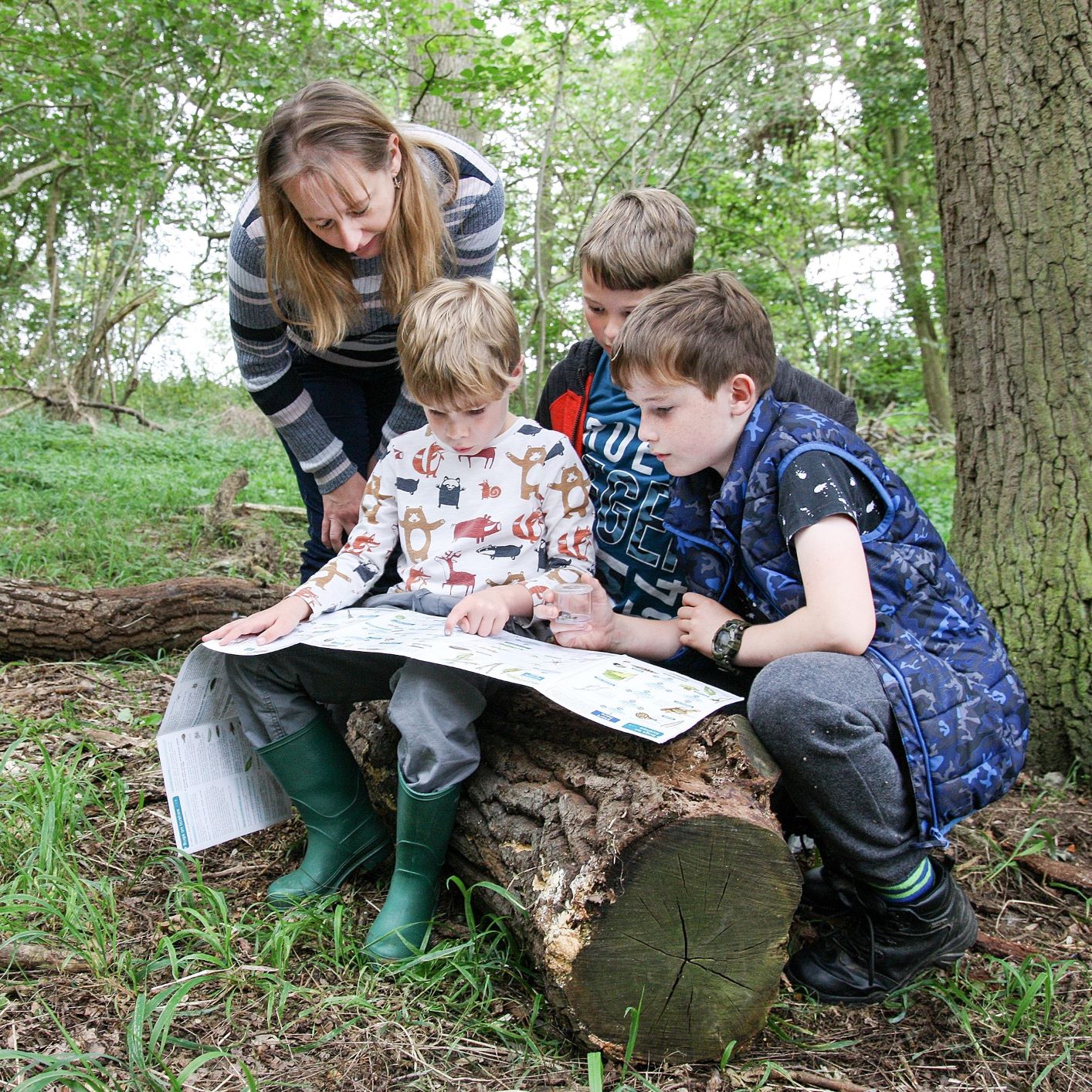 Mum and three boys looking at a map whilst sat on a log in the Forest 