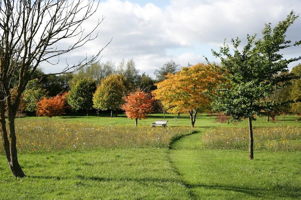View of pathway with bench through autumn trees in the arboretum