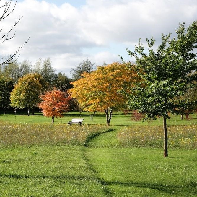 Autumn trees and mown path in the arboretum 