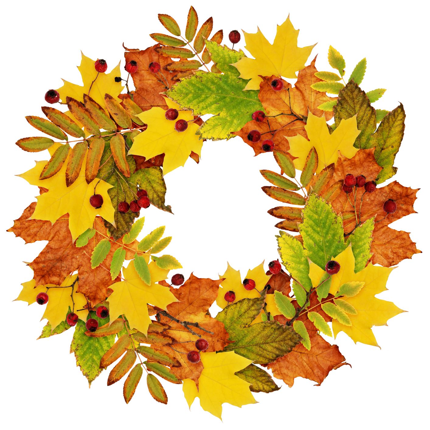 An autumnal wreath