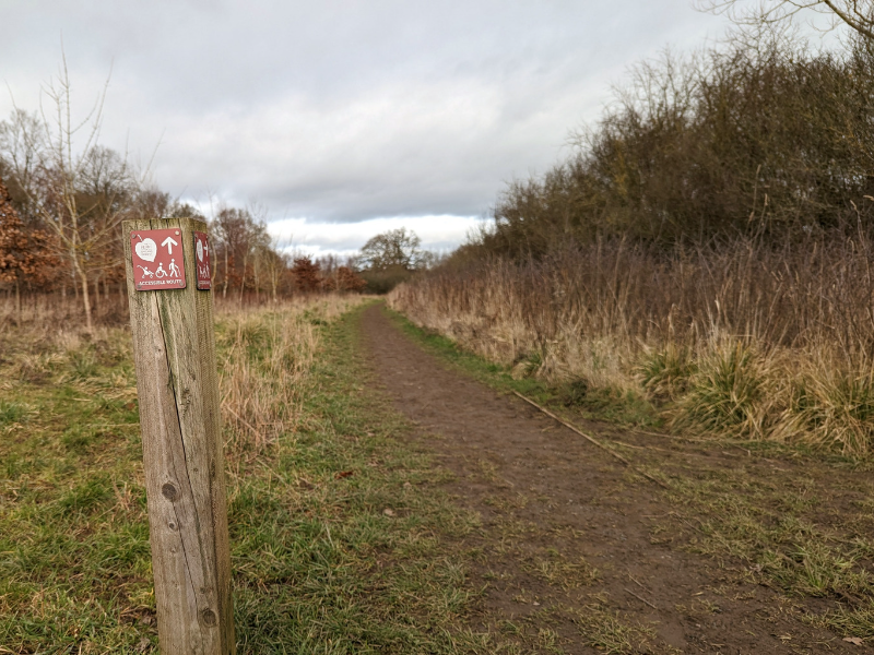 Footpath through open forest