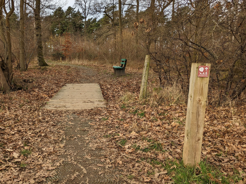 Wooden bridge into Morgrove Coppice woodland