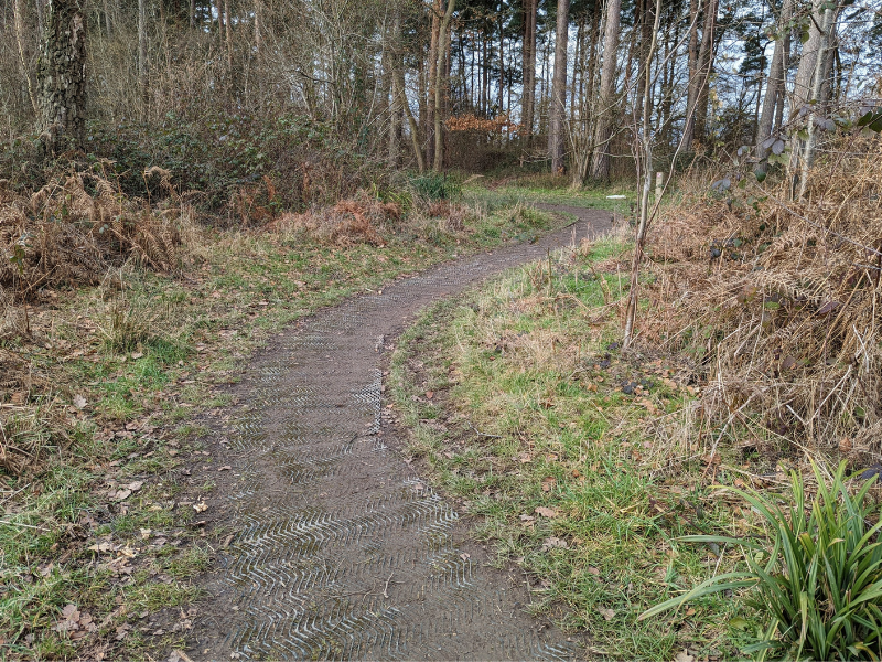 Path through the woodland