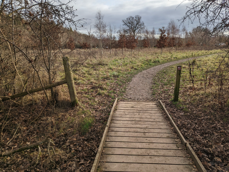 Wooden boardwalk leading out of the trees into open grassland