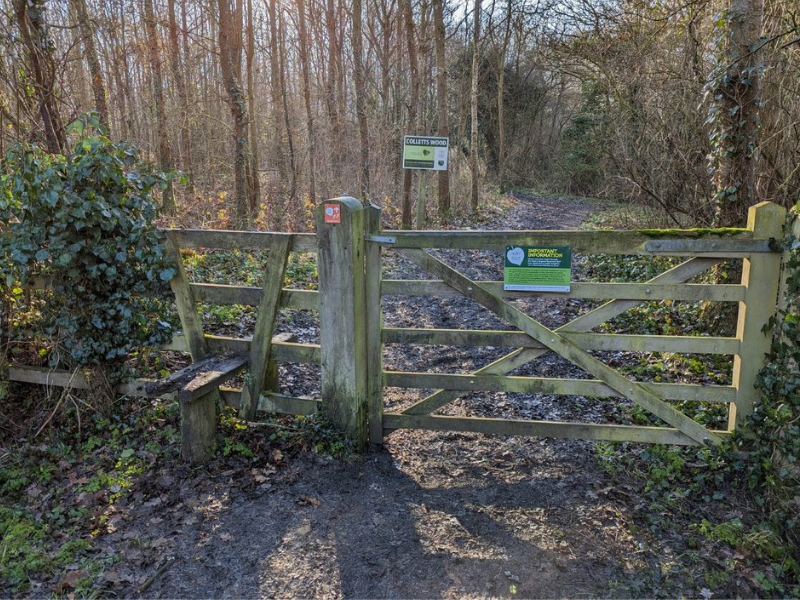 Wooden gate and sign into Colletts Wood
