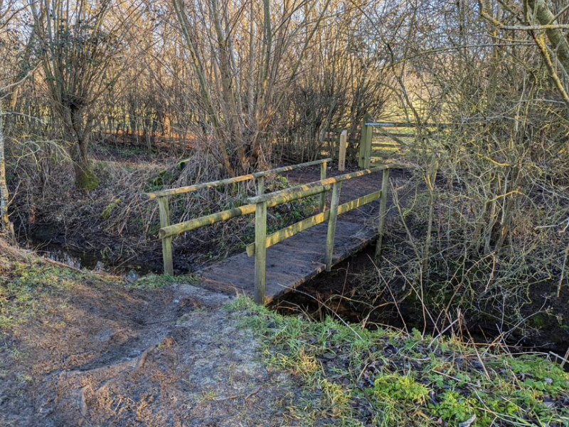 A wooden footbridge crossing a brook in the Forest