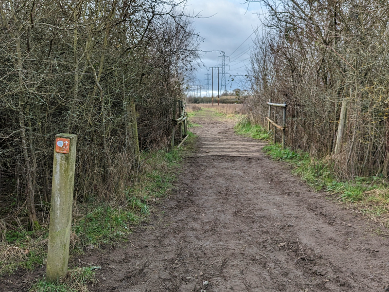 Footpath through hedge and wooden bridge