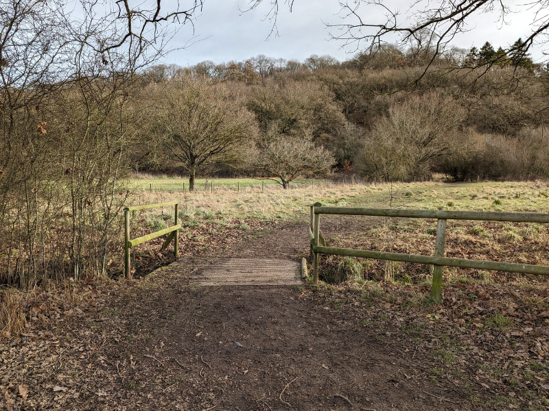 View across to Spernal Park wood 