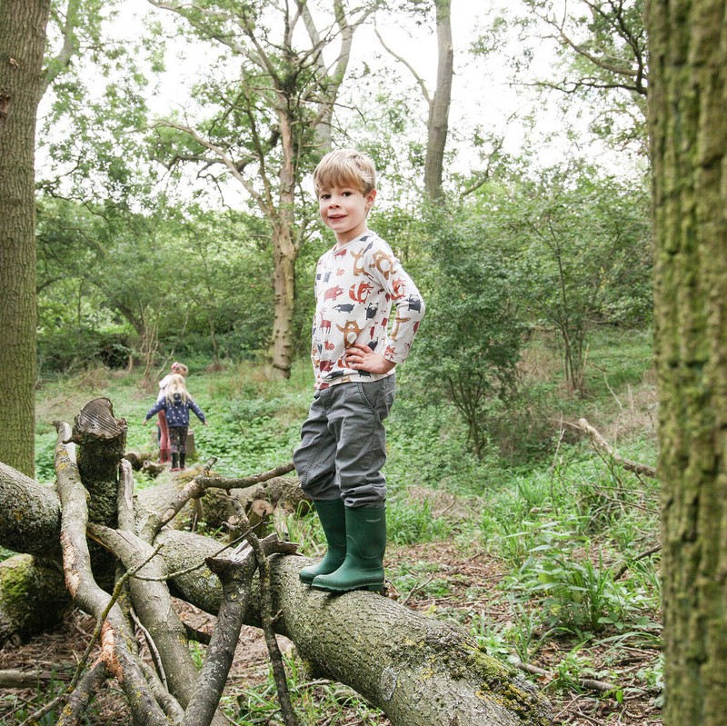 A young boy standing on a fallen tree branch in the Forest. He is wearing wellies and smiling at the camera