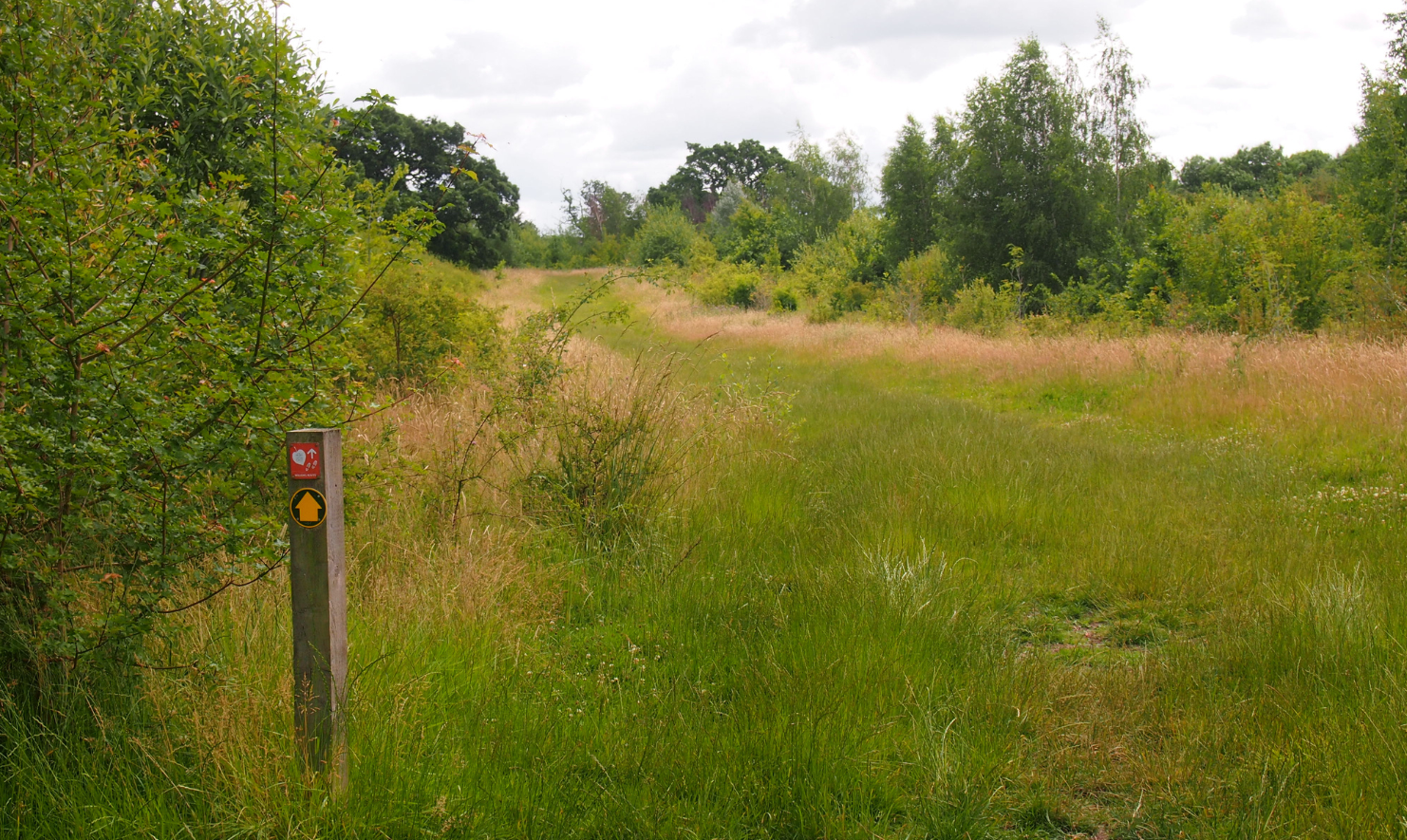 A continuing footpath through open land with a waymarker on the left alongeside a hedgerow.