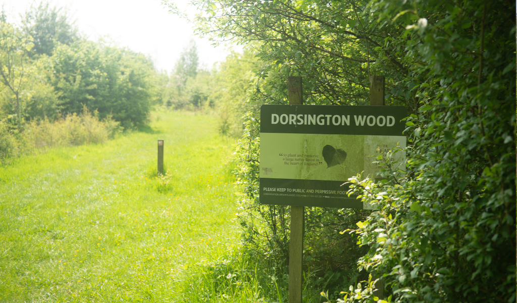 A view of a large rectangular sign saying 'Dorsington Wood' on the right with an open pathway through the woodland.