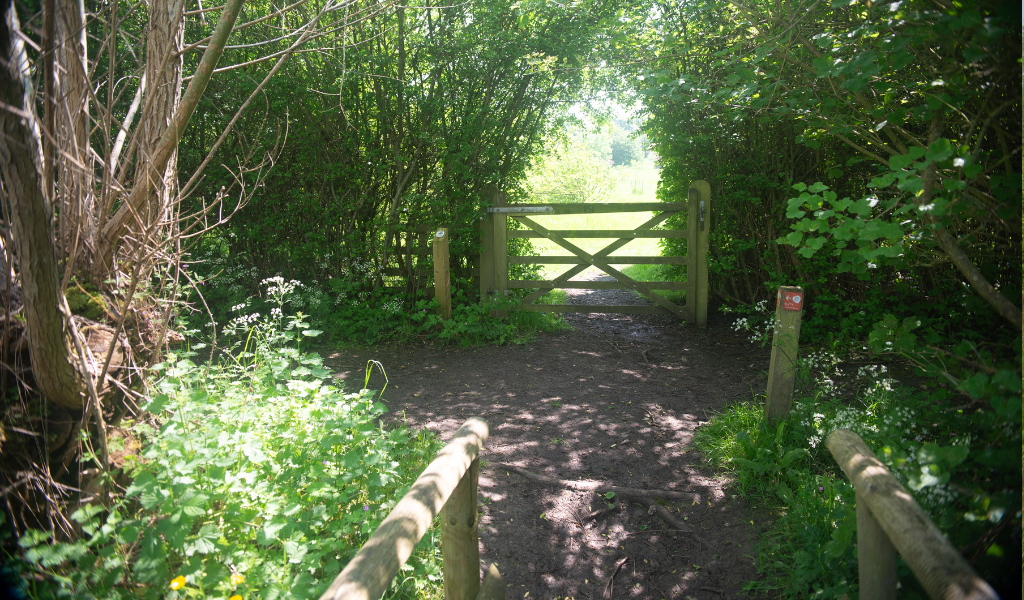 A view from a wooden bridge looking towards a gate in to the Arboretum.