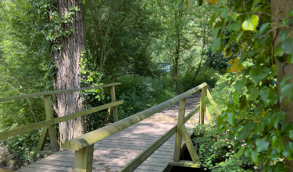 A wooden bridge crossing Noleham Brook, surrounded by spring foliage.