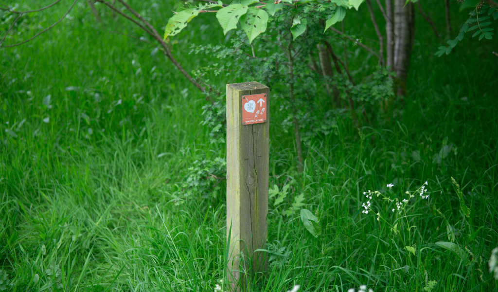 An orange footpath marker on a post surrounded by grass and overhanging branch leaves.