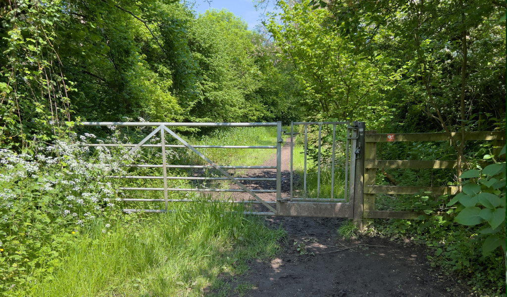 A view of the metal gate near the River Avon along the Founder's Walk.