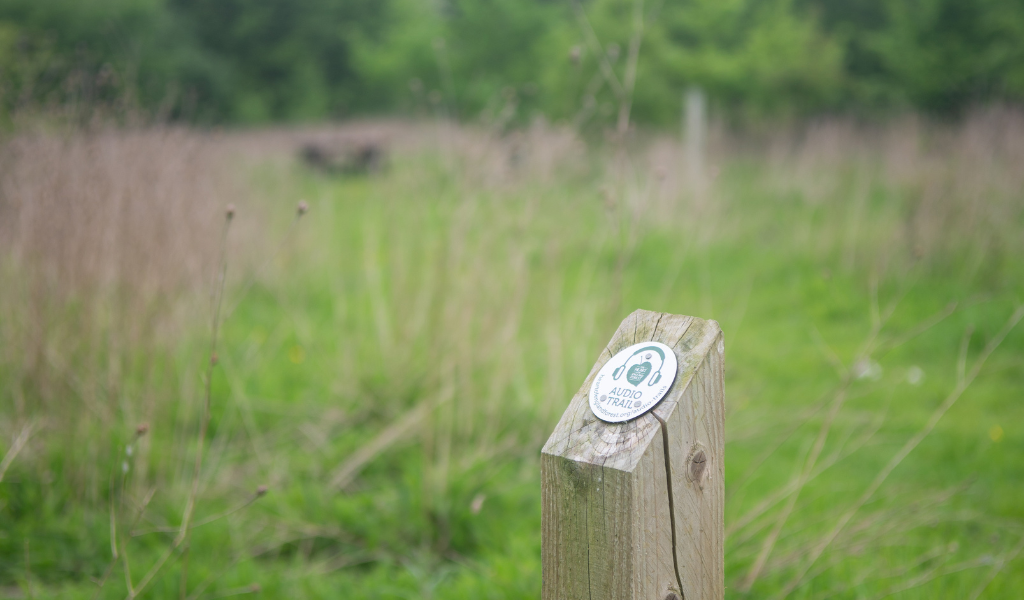 A clear view of the top of an audio trail post looking downhill over the tree dedication area in Dorothy's Wood.