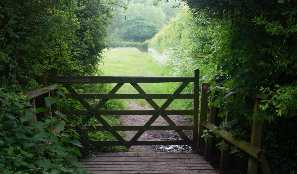 A wooden gate in the foreground leading to an open area of new woodland next to Dorothy's Wood.