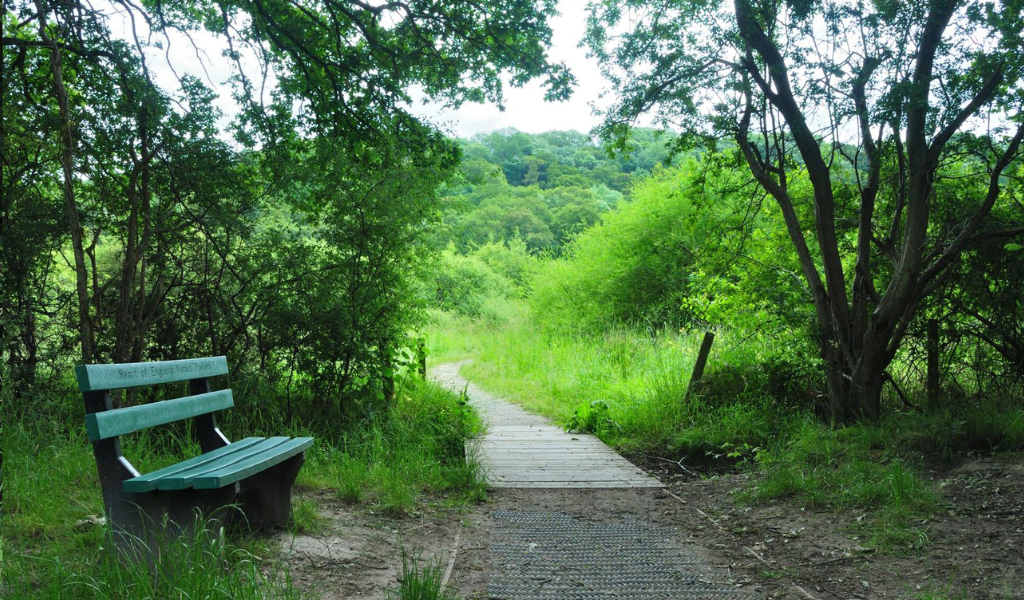 A wooden boardwalk leading into open grassland and a young woodland with mature trees in the distance