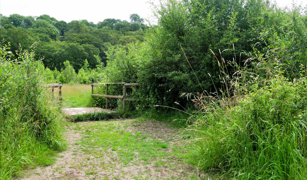 A wooden bridge leading through a hedgerow over a stream