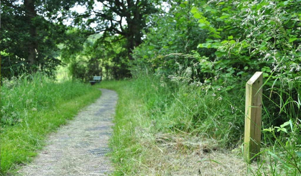 A footpath leading through a woodland with a navigational signpost on the right
