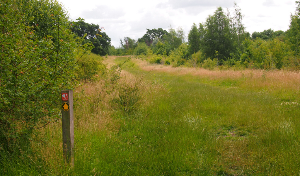A continuing footpath through open land with a waymarker on the left alongside a hedgerow.