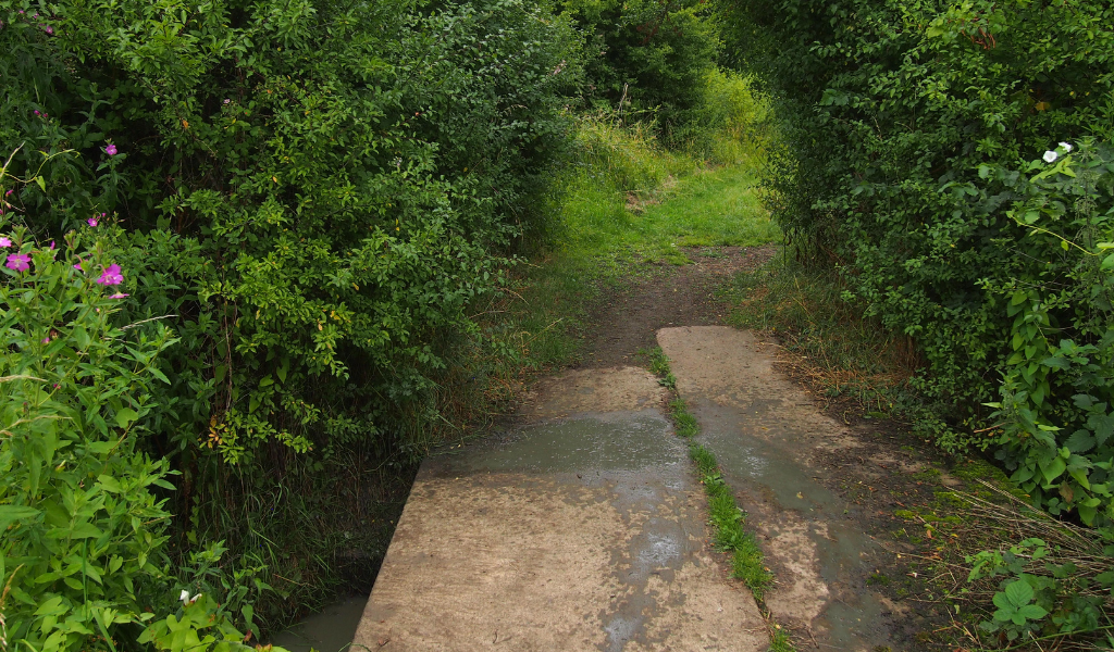 A stoney bridge leading over a stream at Coxmere Wood