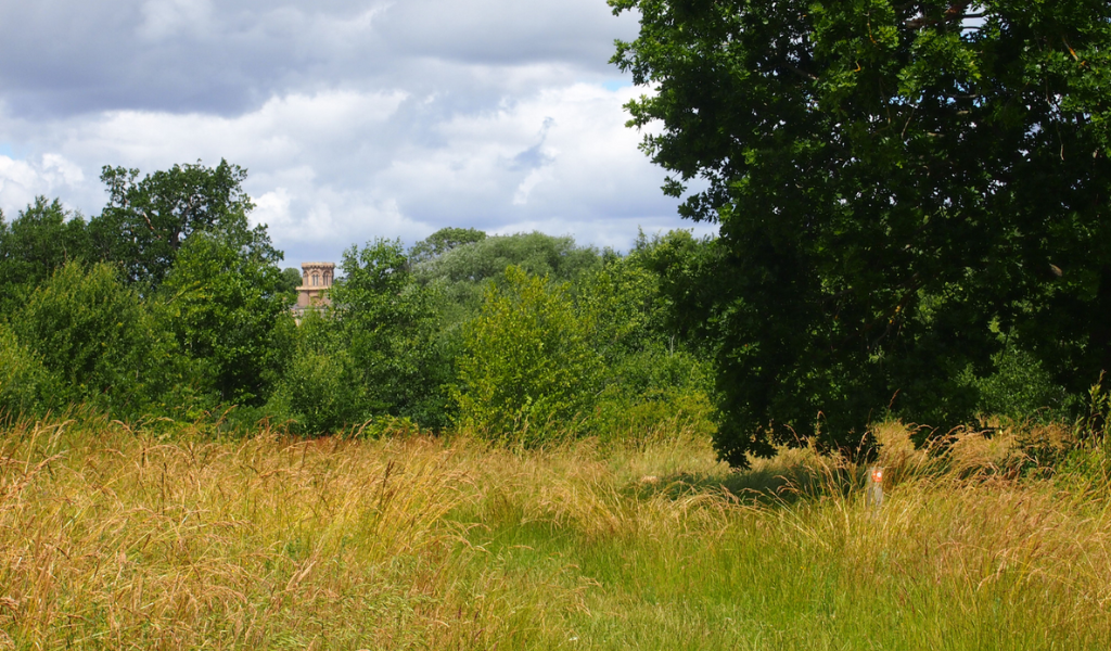 An open field with a large oak tree on the right and a glimpse of Studley Castle in the background.
