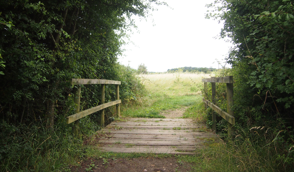 A wooden bridge between a mature hedgerow leading into open green space with young trees behind