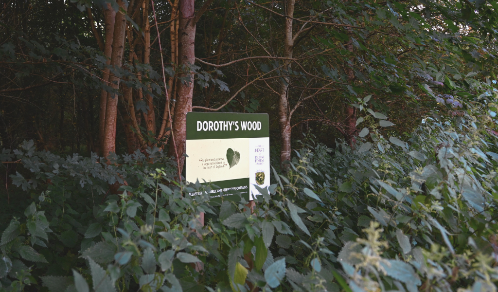 A large rectangular sign that says 'Dorothy's Wood', surrounded by new spring vegetation.