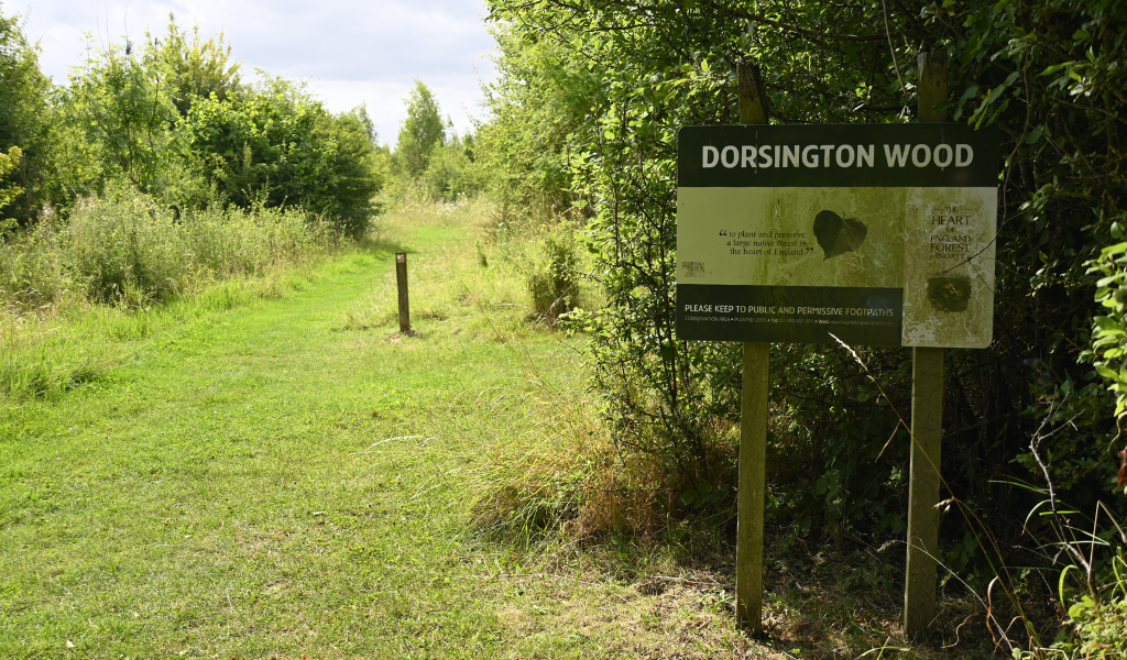 A view of a large rectangular sign saying 'Dorsington Wood' on the right with an open pathway through the woodland.