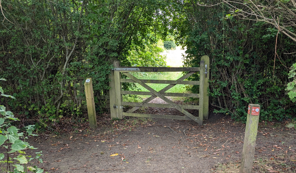 A view from a wooden bridge looking towards a gate in to the Arboretum.