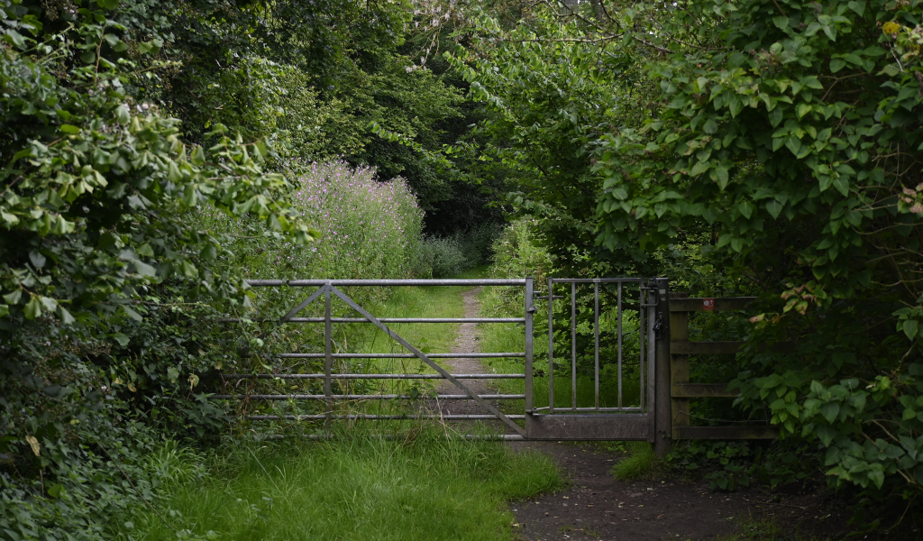 A view of the metal gate near the River Avon along the Founder's Walk.