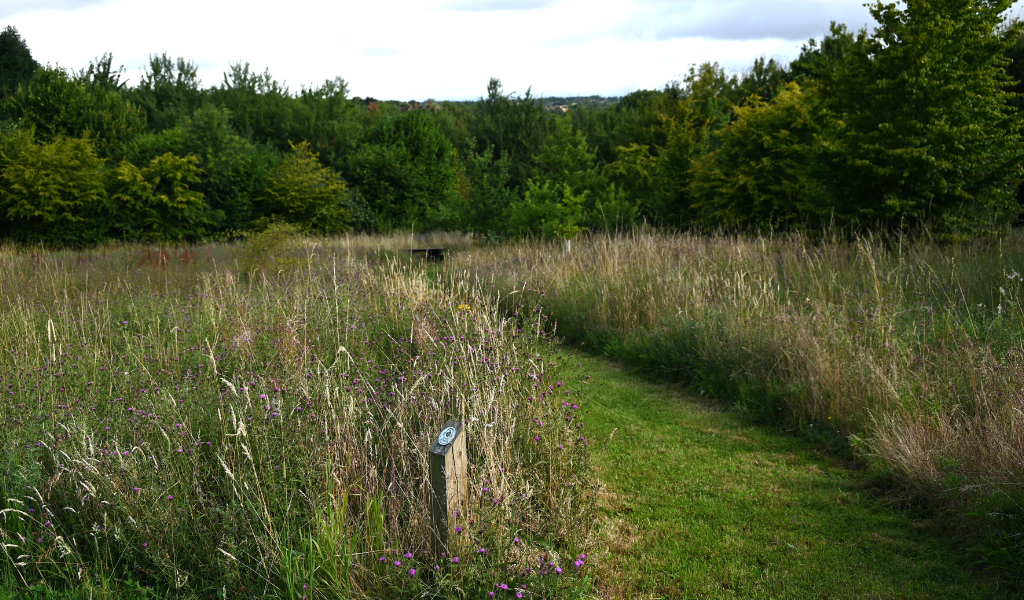 A clear view of the top of an audio trail post looking downhill over the tree dedication area in Dorothy's Wood.