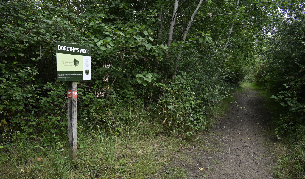 A woodland sign saying 'Dorothy's Wood' running adjacent to a woodland pathway.