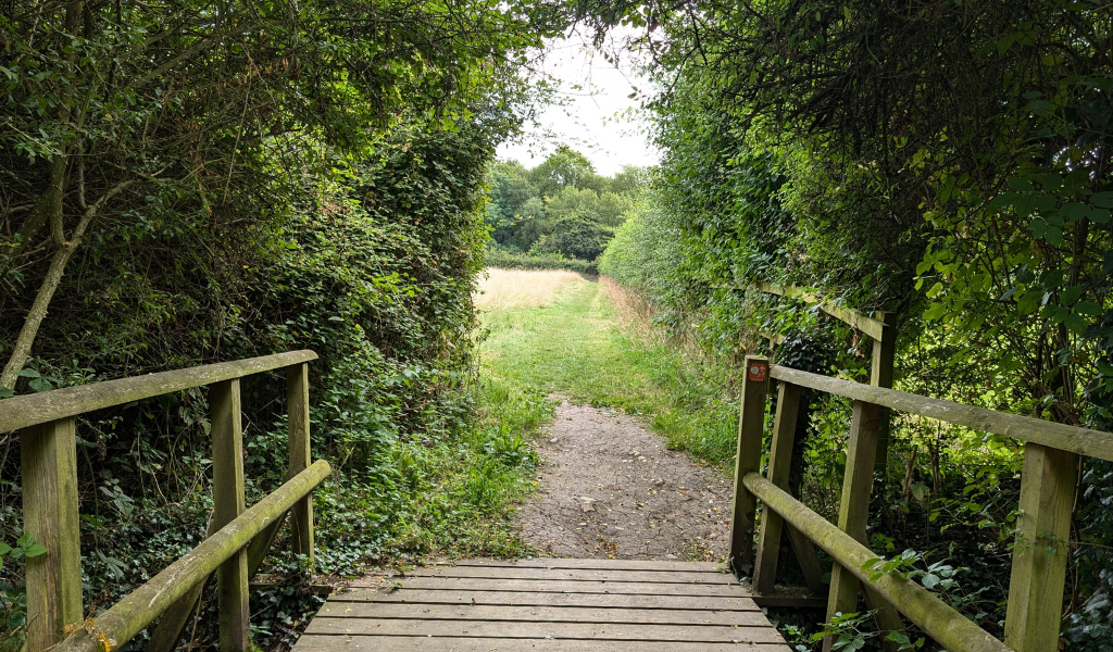 A wooden bridge in the foreground leading to an open area of new woodland next to Dorothy's Wood.