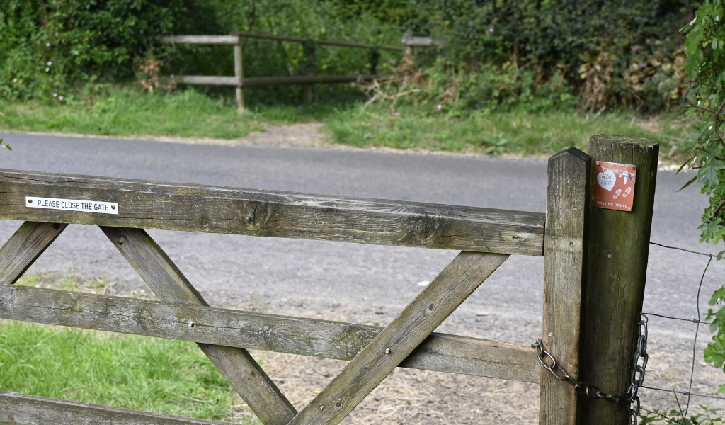 A close up of the top of a gate leading on to a road.