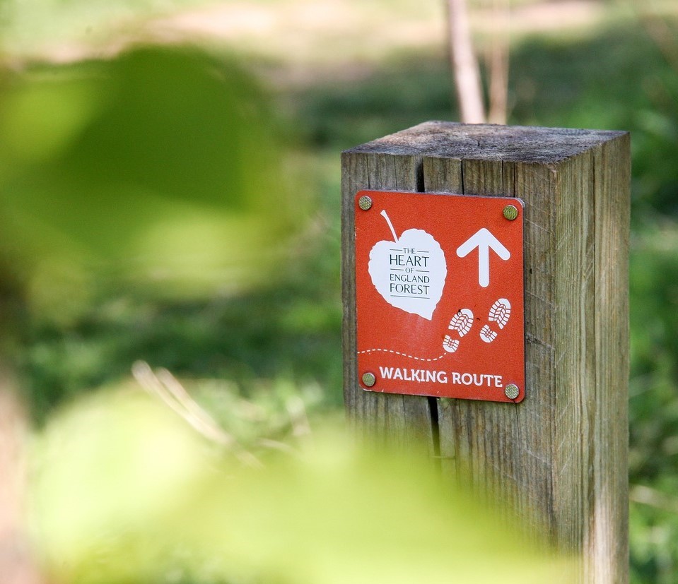 Close up of orange waymarker post