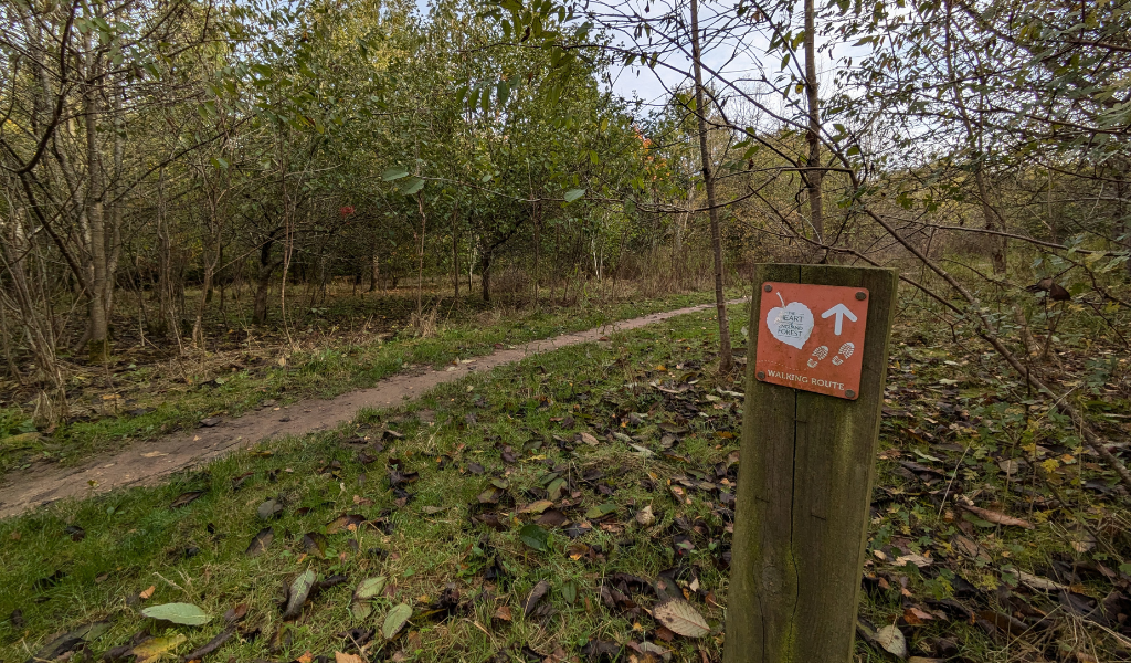 A path at the start of the walk near the car park in Dorothy's Wood