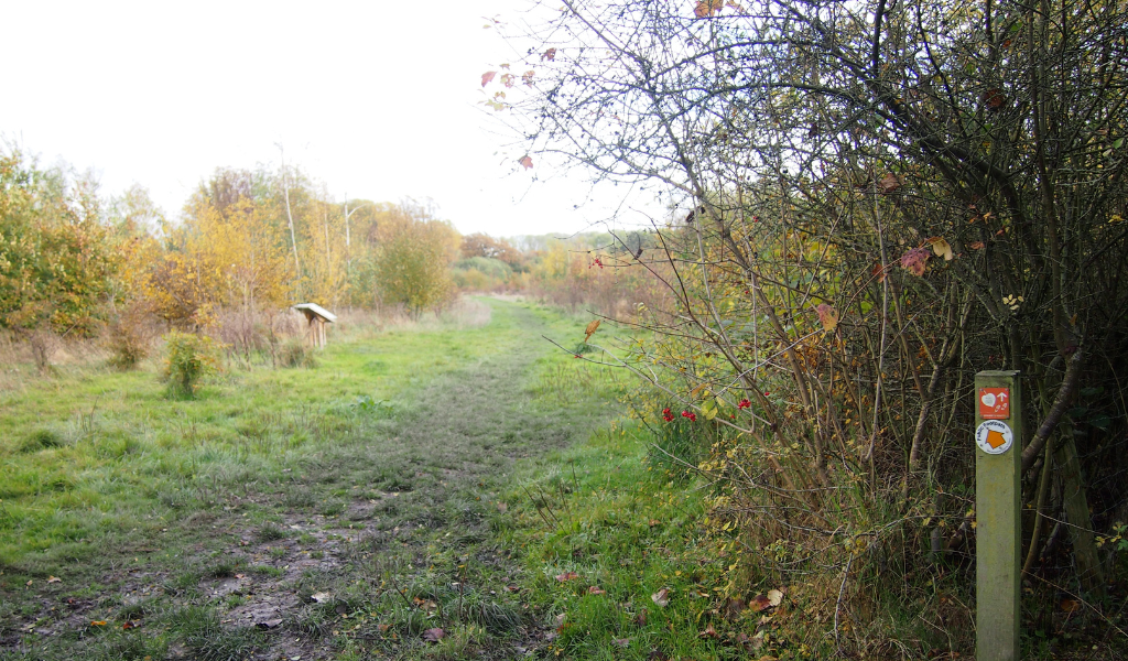 A footpath to the left running alongside a mature hedgerow and a waymarker post pointing left at the bottom right hand corner.