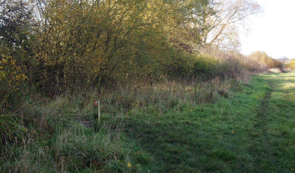 An open field to the right, a hedgerow up ahead and a waymarker to the left, directing the continuation of the path to the left.